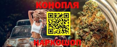 трава Кандалакша